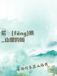 紫龍風(fēng)暴