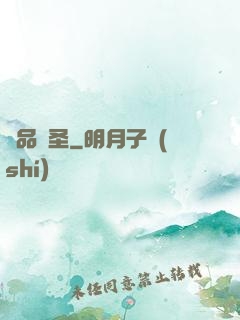 絕品盜圣