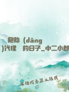 給雙胞胎當(dāng)代理媽媽的日子