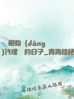 給雙胞胎當(dāng)代理媽媽的日子