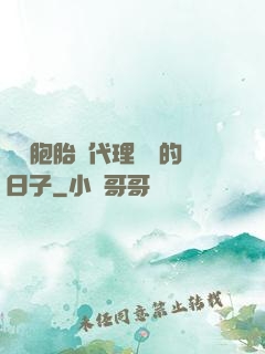 給雙胞胎當代理媽媽的日子
