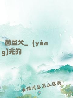 綠茵圣父
