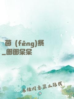 綠茵風(fēng)暴