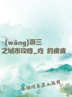 網(wǎng)游三國之城市攻略