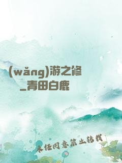 網(wǎng)游之修羅傳說