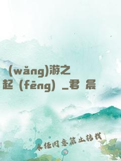網(wǎng)游之劍起風(fēng)塵
