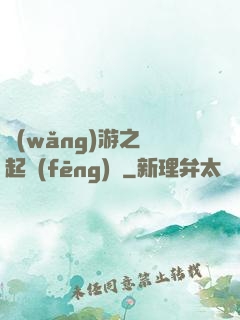 網(wǎng)游之劍起風(fēng)塵