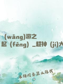 網(wǎng)游之劍起風(fēng)塵