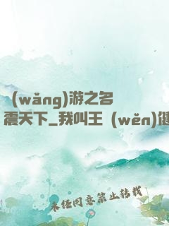 網(wǎng)游之名震天下
