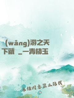 網(wǎng)游之天下藏鋒