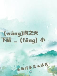 網(wǎng)游之天下藏鋒