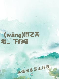 網(wǎng)游之天地