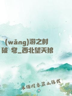 網(wǎng)游之射破蒼穹