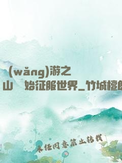 網(wǎng)游之從山賊開始征服世界