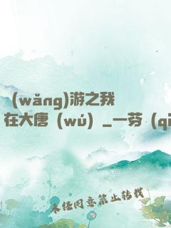 網(wǎng)游之我在大唐無(wú)雙