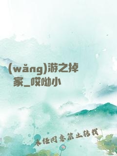 網(wǎng)游之掉級專家