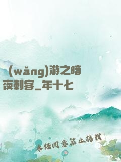 網(wǎng)游之暗夜刺客