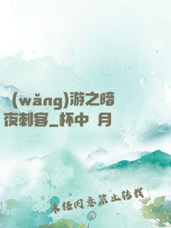 網(wǎng)游之暗夜刺客
