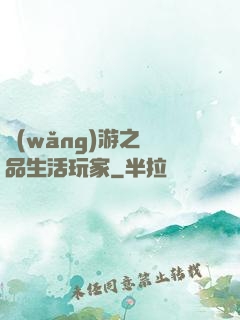 網(wǎng)游之極品生活玩家