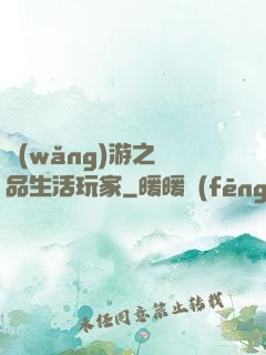 網(wǎng)游之極品生活玩家