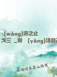 網(wǎng)游之止戈三國