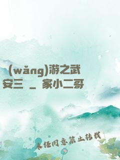 網(wǎng)游之武安三國