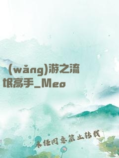 網(wǎng)游之流氓高手