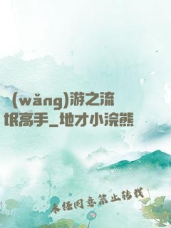 網(wǎng)游之流氓高手