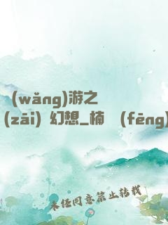 網(wǎng)游之災(zāi)難幻想