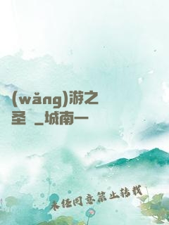網(wǎng)游之無敵圣騎