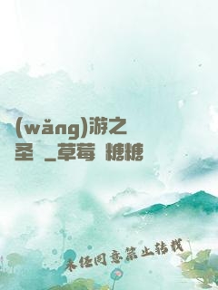 網(wǎng)游之無敵圣騎