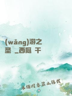 網(wǎng)游之無敵圣騎