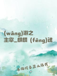 網(wǎng)游之無盡主宰