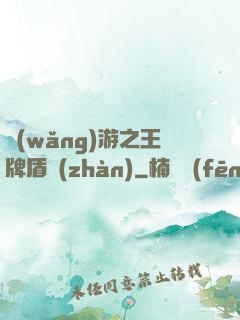 網(wǎng)游之王牌盾戰(zhàn)