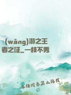 網(wǎng)游之王者之征