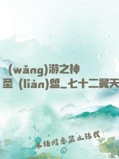 網(wǎng)游之神圣聯(lián)盟