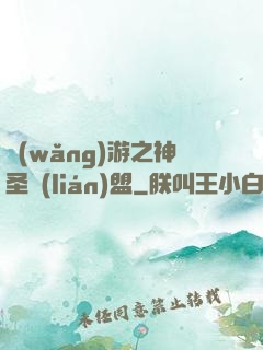 網(wǎng)游之神圣聯(lián)盟