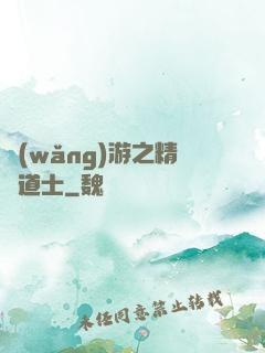 網(wǎng)游之精靈道士