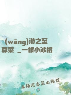 網(wǎng)游之至尊菜鳥