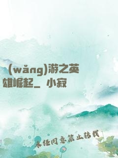 網(wǎng)游之英雄崛起