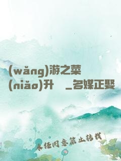 網(wǎng)游之菜鳥(niǎo)升職記