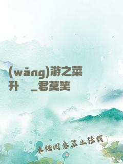 網(wǎng)游之菜鳥升職記