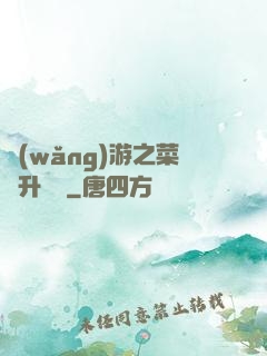 網(wǎng)游之菜鳥升職記