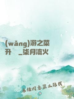 網(wǎng)游之菜鳥升職記