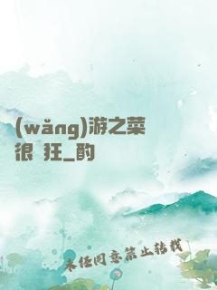 網(wǎng)游之菜鳥很瘋狂