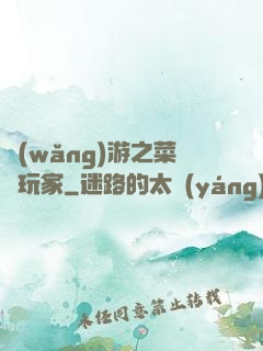 網(wǎng)游之菜鳥玩家
