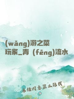 網(wǎng)游之菜鳥玩家