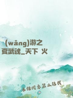 網(wǎng)游之華夏武魂