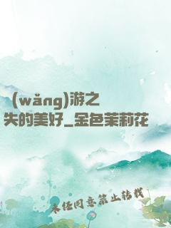 網(wǎng)游之遺失的美好