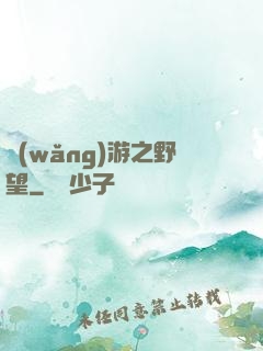 網(wǎng)游之野望